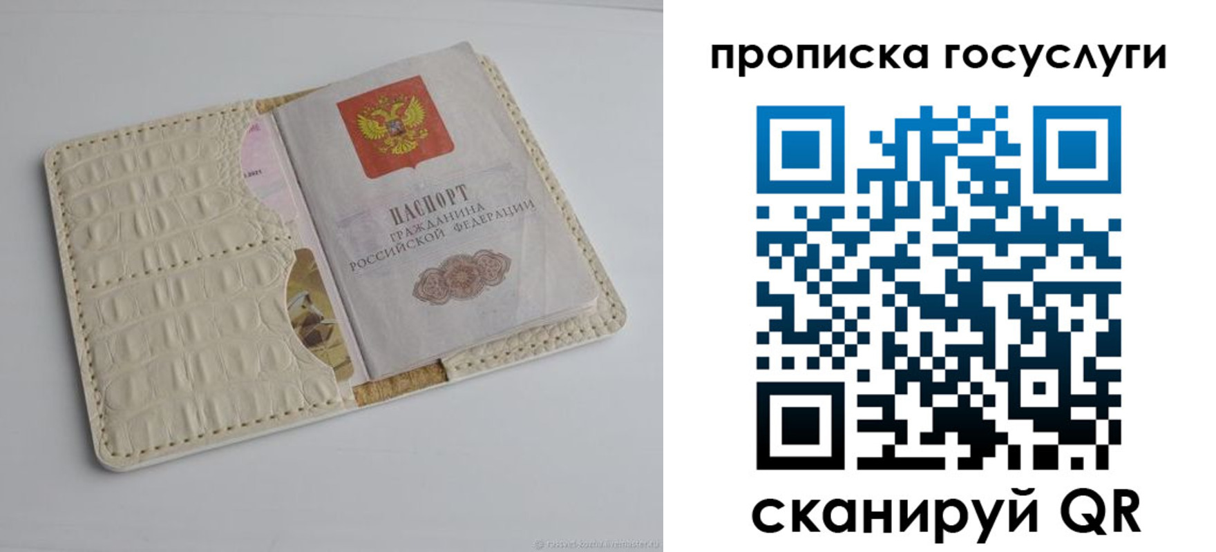 прописка в Шумихе